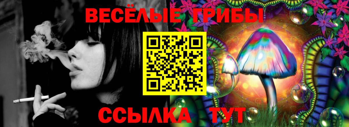 Галлюциногенные грибы мицелий Истра