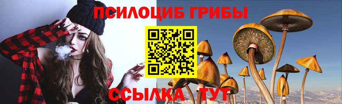 Истра  Галлюциногенные грибы Magic Shrooms  Вход с VPN  Псилоцибиновые грибы мухоморы 